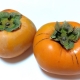 秋の味覚！新潟特産「おけさ柿」ってどんな柿？おいしい食べ方と合わせてご紹介！
