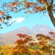 妙高高原のおすすめ紅葉スポットで大自然を満喫！妙高市の人気グルメと合わせて紹介！