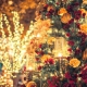 【2018年】新潟市でクリスマスディナー!カップルや家族に人気のレストラン10選!